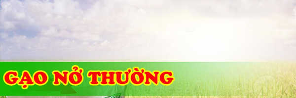 Gạo nở