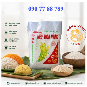Gạo nếp cái hoa vàng