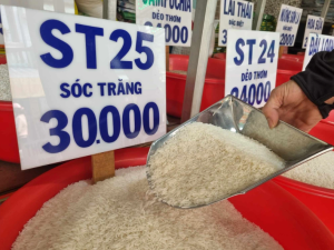 Bảng giá gạo  
